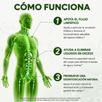Sculptique Lymphatic Drainage Cápsulas